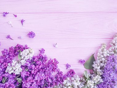 pembe ahşap arka plan çerçeve üzerinde Lila çiçek