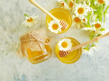 gri beton arka planda taze bal papatya çiçeği