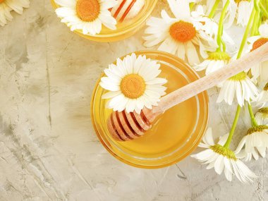 gri beton arka planda taze bal papatya çiçeği