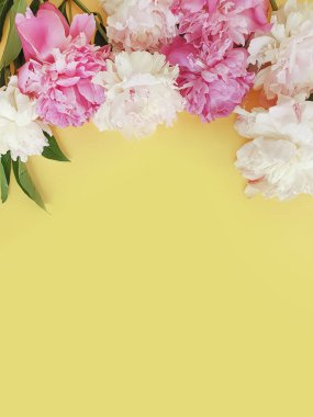 renkli arka plan çerçevesi üzerinde taze şakayık