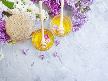 gri beton arka plan üzerinde taze bal leylak çiçek