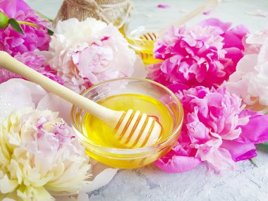 gri bir beton üzerinde taze bal çiçeklenme şakayık