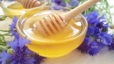 taze bal çiçeği cornflower yavaş hareket