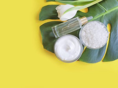 krem kozmetik lale, renkli bir arka plan üzerinde monstera