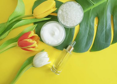 krem kozmetik lale, renkli bir arka plan üzerinde monstera