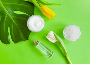 krem kozmetik lale, renkli bir arka plan üzerinde monstera