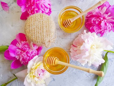 fresh honey peony flower on gray concrete background