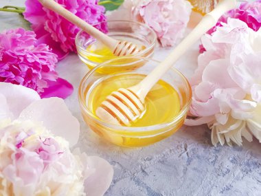 fresh honey peony flower on gray concrete background