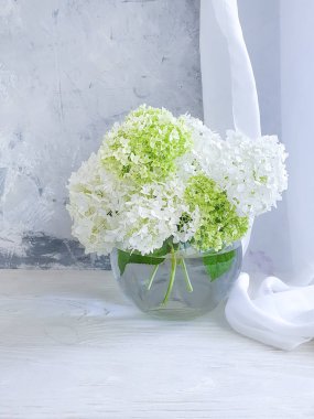 gri beton arka plan üzerinde ortanca vazo