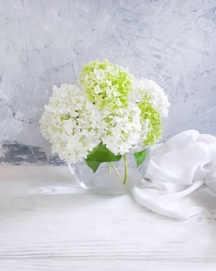 gri beton arka plan üzerinde ortanca vazo