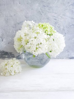 gri beton arka plan üzerinde ortanca vazo