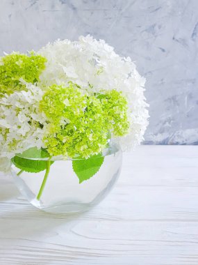 gri beton arka plan üzerinde ortanca vazo