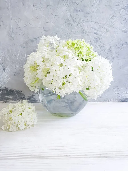 gri beton arka plan üzerinde ortanca vazo