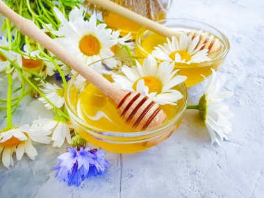 taze bal, papatya çiçeği, gri beton arka plan üzerinde cornflower