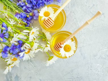 taze bal, papatya çiçeği, gri beton arka plan üzerinde cornflower