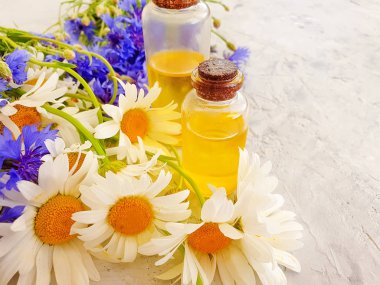 papatya çiçek yağı, gri beton arka plan üzerinde cornflower