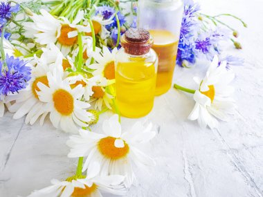 papatya çiçek yağı, gri beton arka plan üzerinde cornflower