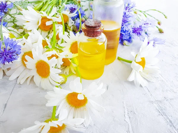 Aceite Flor Manzanilla Aciano Sobre Fondo Hormigón Gris —  Fotos de Stock