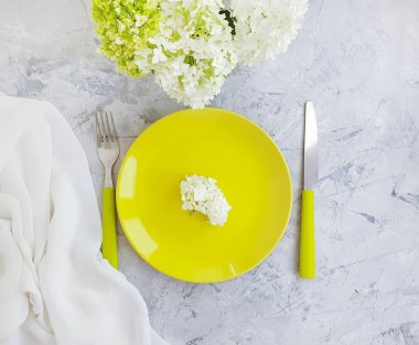 beton bir arka plan üzerinde ortanca çiçek plaka