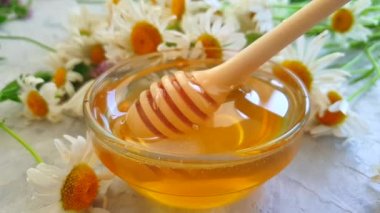 gri beton arka plan yavaş hareket taze bal papatya çiçek