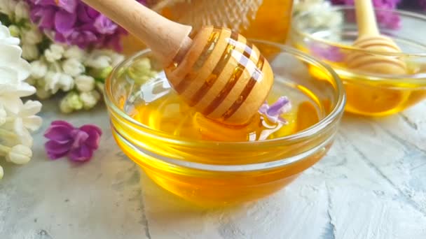 Fresh Honey Flower Peony Dripping Slow Motion — Stock Video