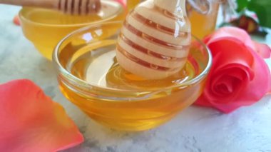 taze bal çiçek beton arka plan yavaş hareket gül