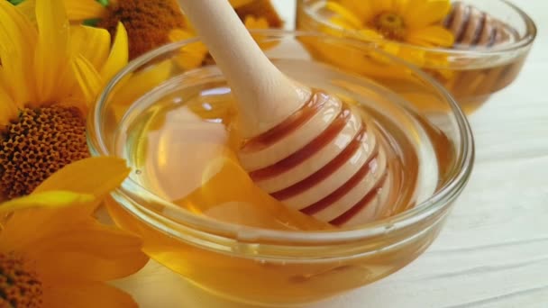 Fresh Honey Yellow Flower Slow Motion — Stock Video