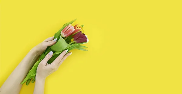 Mano Femenina Sosteniendo Ramo Tulipanes Sobre Fondo Color — Foto de Stock