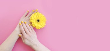 kadın el, renkli bir arka plan üzerinde gerbera çiçek