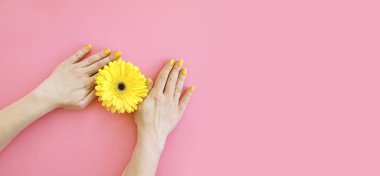 kadın el, renkli bir arka plan üzerinde gerbera çiçek