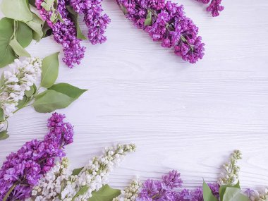 beyaz ahşap arka plan üzerinde leylak çiçek