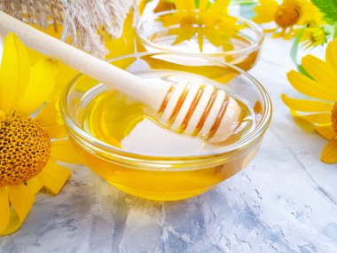 gri beton arka plan üzerinde taze bal sarı çiçekler