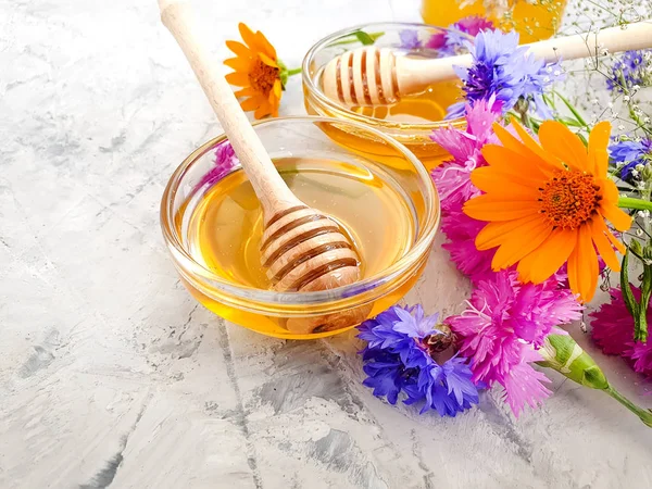 Frischer Honigblumen Ranunkel Ringelblume Auf Grauem Betongrund — Stockfoto