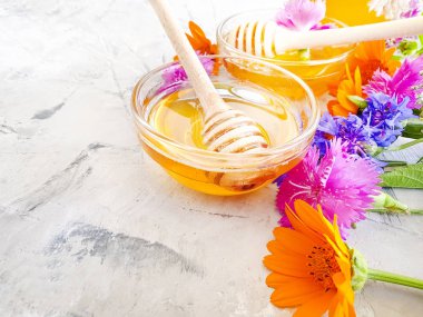 taze bal çiçek Calendula, gri beton arka planda Mısır çiçeği