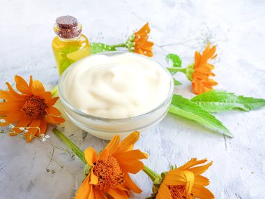 gri beton arka planda krem kozmetik çiçek Calendula