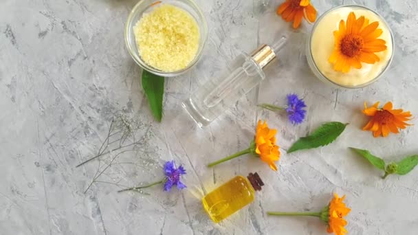 Crème Cosmetische Bloem Calendula Slow Motion — Stockvideo