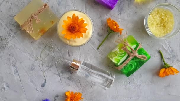 Crème Cosmetische Bloem Calendula Slow Motion — Stockvideo