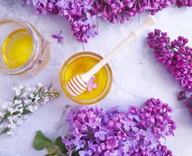 gri beton arka plan üzerinde taze bal çiçeği leylak