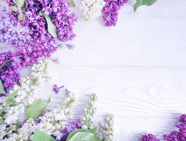 ahşap arka plan çerçevesi üzerinde taze leylak