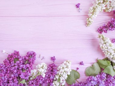 ahşap arka plan çerçevesi üzerinde taze leylak