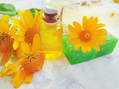 sabun, gri beton arka plan üzerinde calendula çiçek yağı