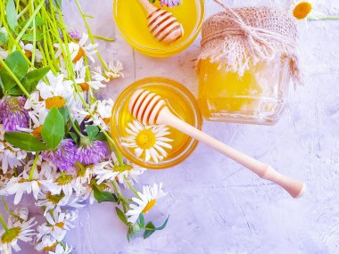 gri beton arka plan üzerinde taze bal papatya çiçek yonca