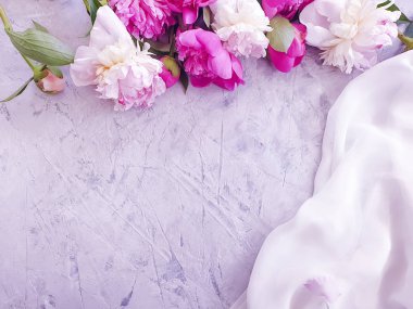 gri beton arka plan üzerinde şakayık çiçek