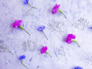 gri beton arka plan üzerinde yaz çiçekleri çerçeve