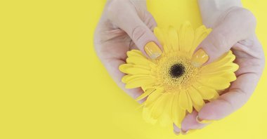kadın el güzel manikür gerbera çiçek