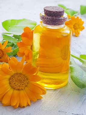 gri beton arka plan üzerinde kozmetik yağ calendula çiçek