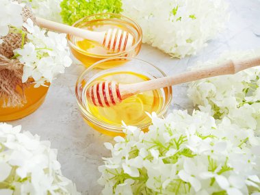 gri beton arka plan üzerinde taze bal ortanca çiçek