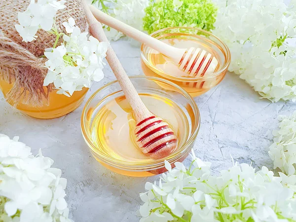 gri beton arka plan üzerinde taze bal ortanca çiçek