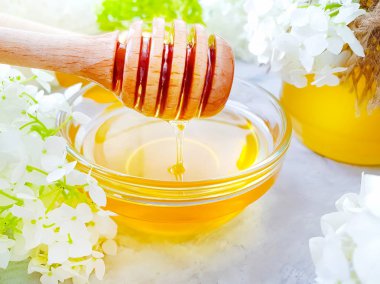 gri beton arka plan üzerinde taze bal ortanca çiçek