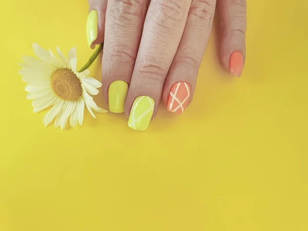 Female Hand Manicure Daisy Flower — Stock Photo, Image